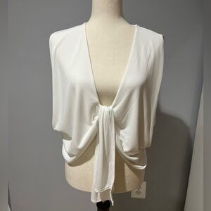 Zara Deep V Plunge Crop Top